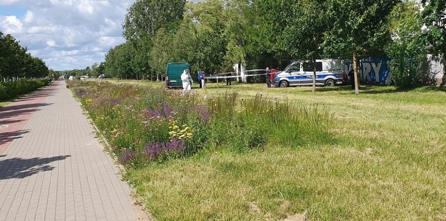 Suwalczanin, który podrzucił zwłoki matki koło garaży przy Reja, stanie przed sądem