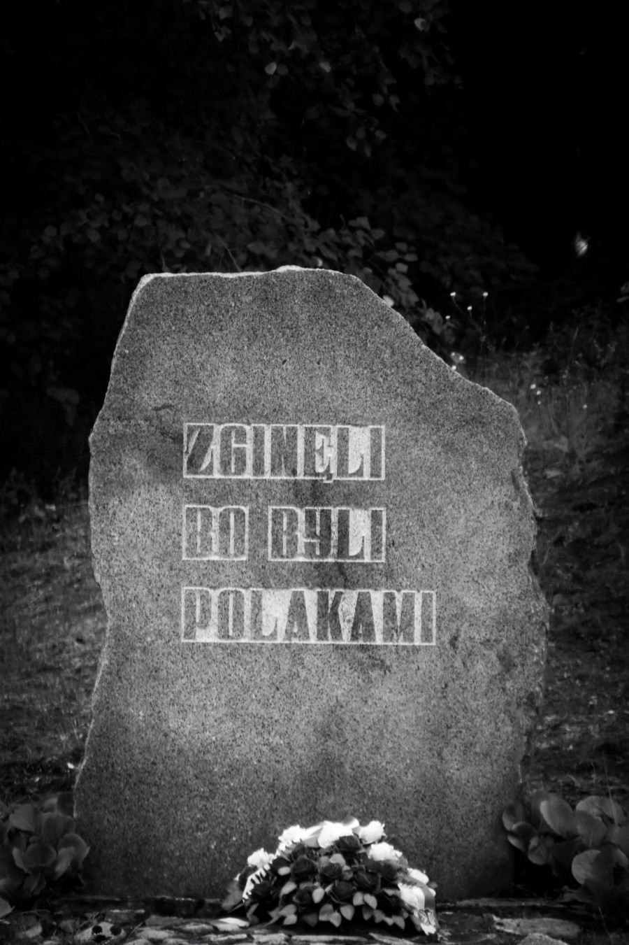 004.jpg