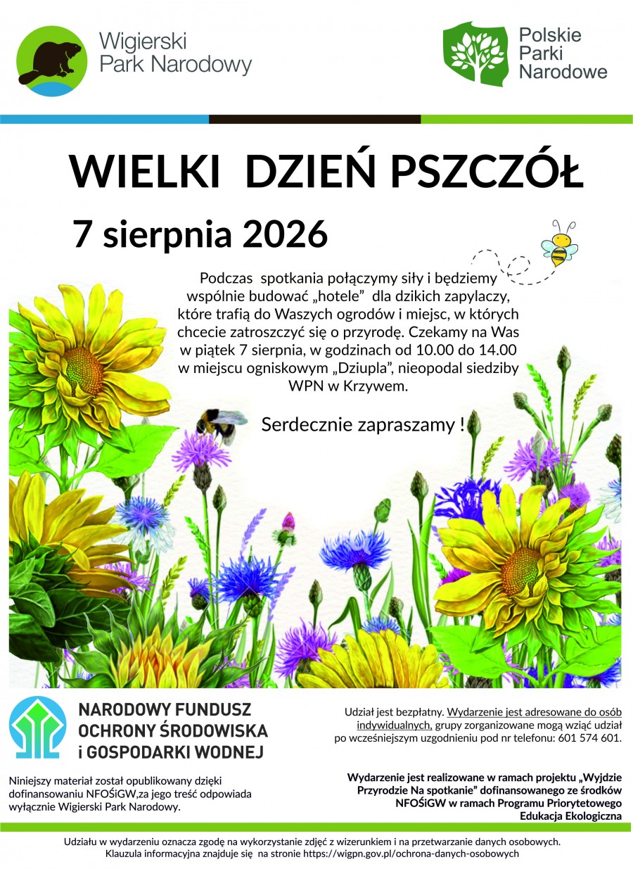 Wielki Dzień Pszczół w Wigierskim Parku Narodowym