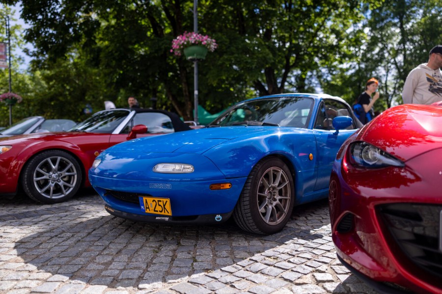 _r6_8855_easy-resize.com_.jpg