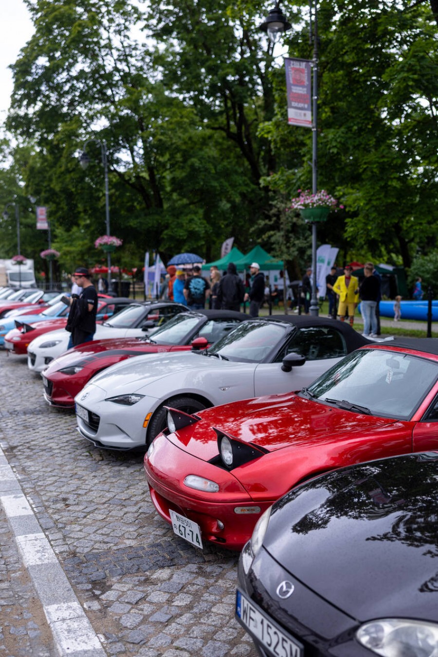 _r6_8890_easy-resize.com_.jpg