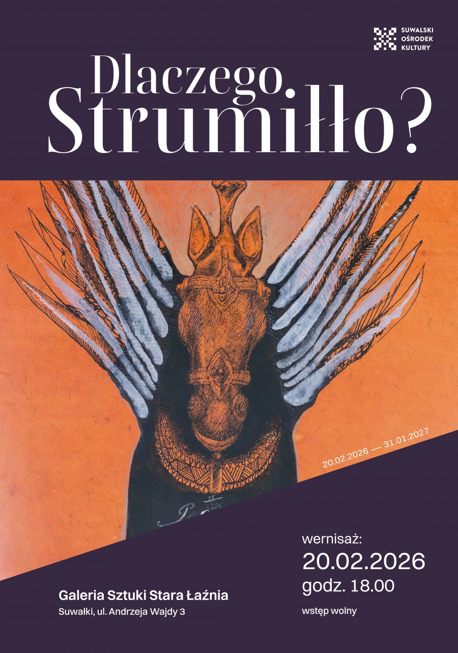 Wernisaż wystawy DLACZEGO STRUMIŁŁO?