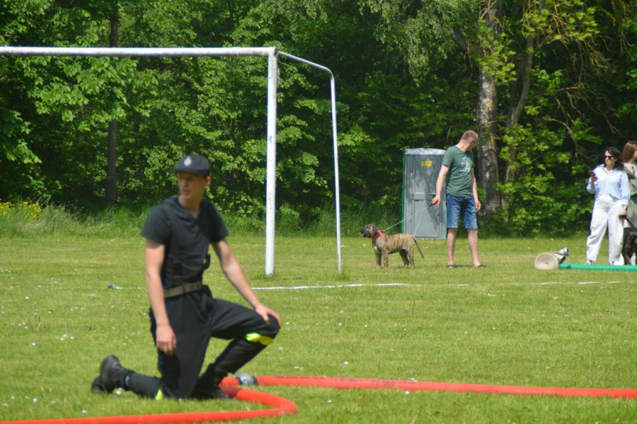 dsc_0782_easy-resize.com_.jpg