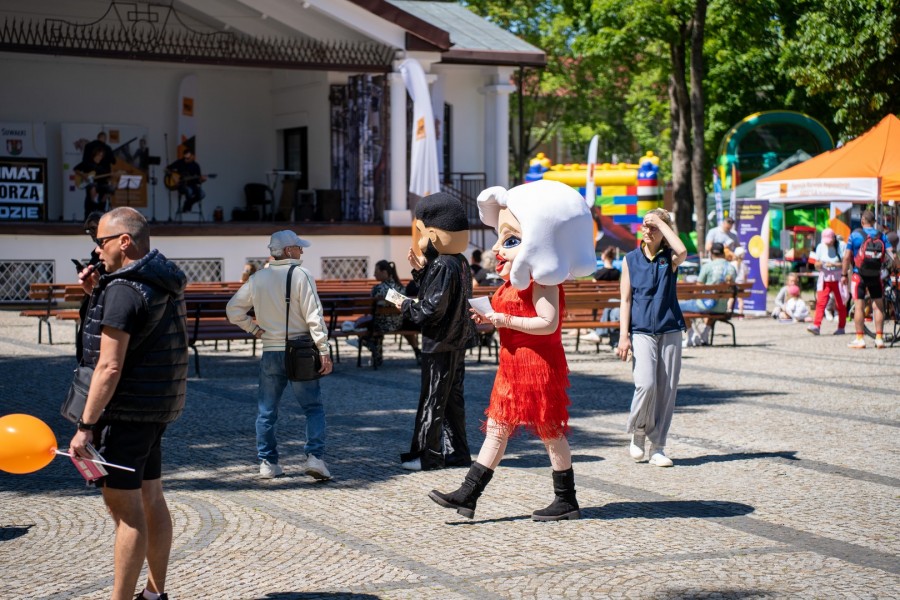 zdjecie_(36).jpg