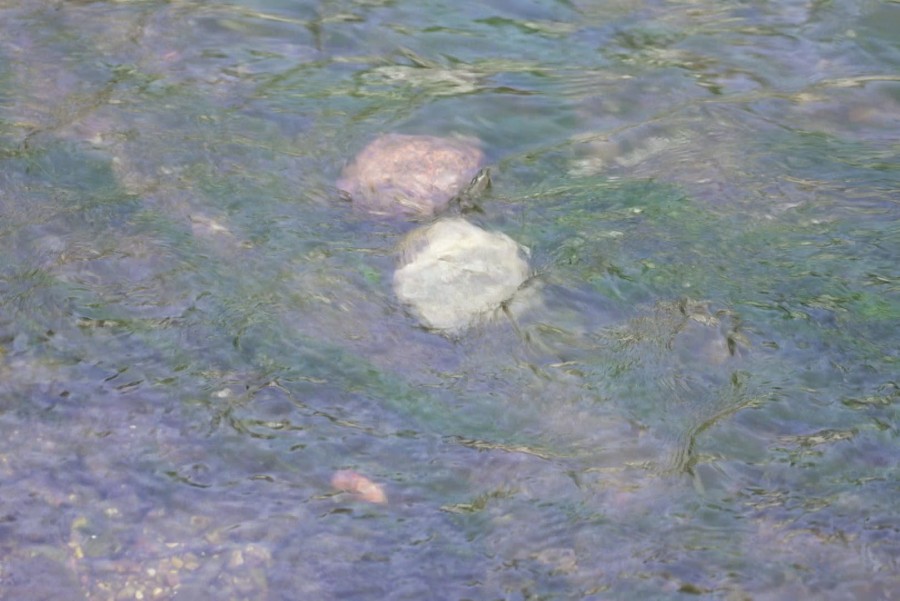 clip0074.mxf.00_26_23_02.still001.jpg