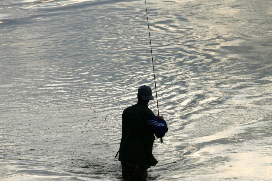 Litwa. W niedzielę, 1 marca wszedł w życie zakaz połowu płoci i siei