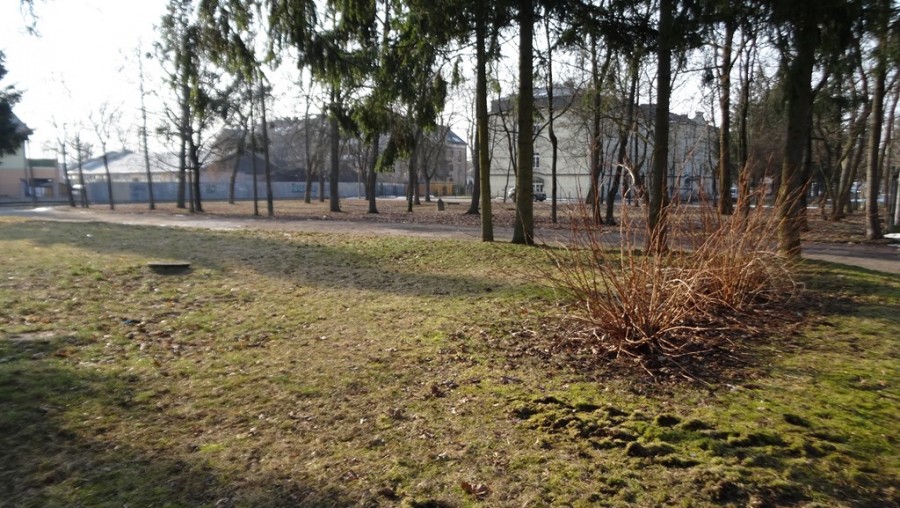 brzostowski_park_(3).jpg