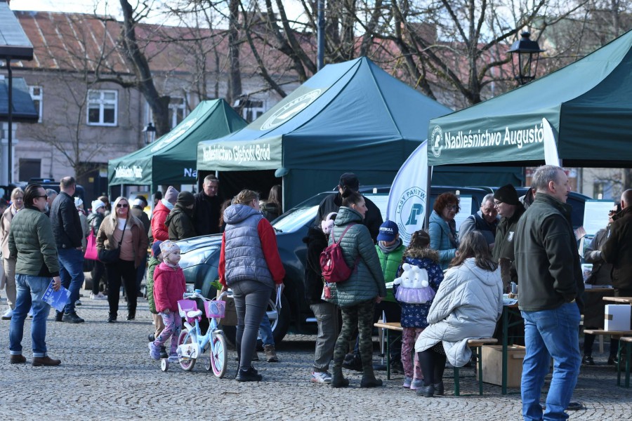 W Suwałkach obchodzono Święto Lasu [zdjęcia]