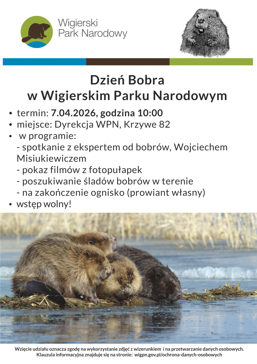 Dzień Bobra w Wigierskim Parku Narodowym