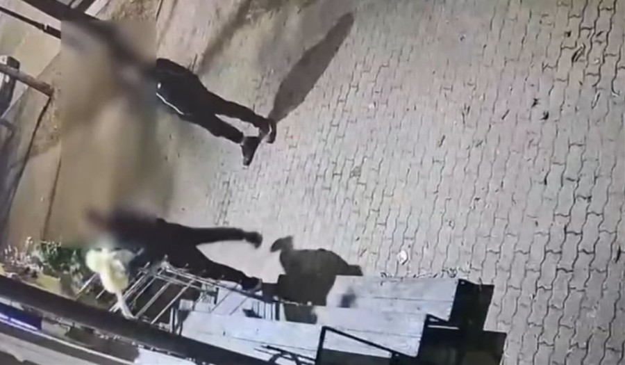 Sprawca kradzieży ozdobnej kury już w rękach Policji