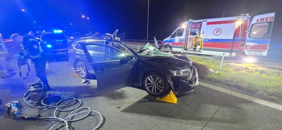 Nie żyje pasażerka auta, pod które na drodze S61 Budzisko – Suwałki wbiegł łoś. W piątek dwie ofiary