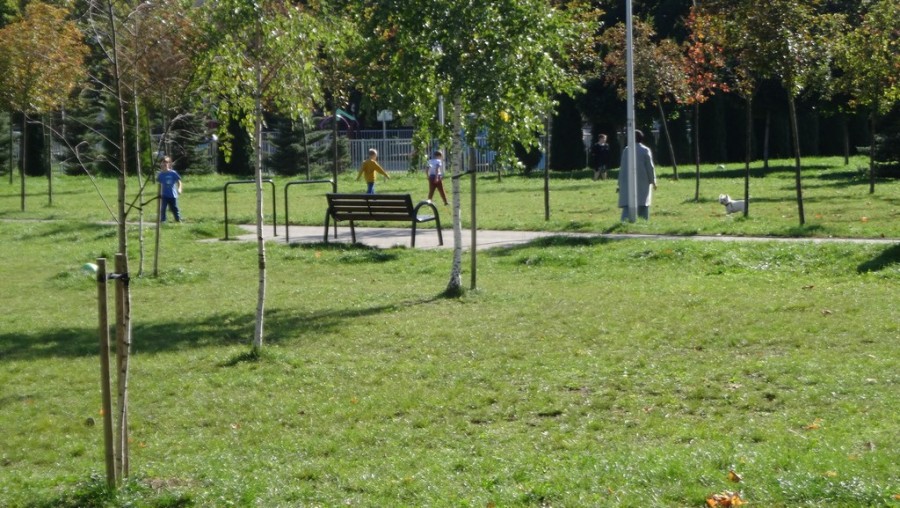 andersa_park_09_(1).jpg