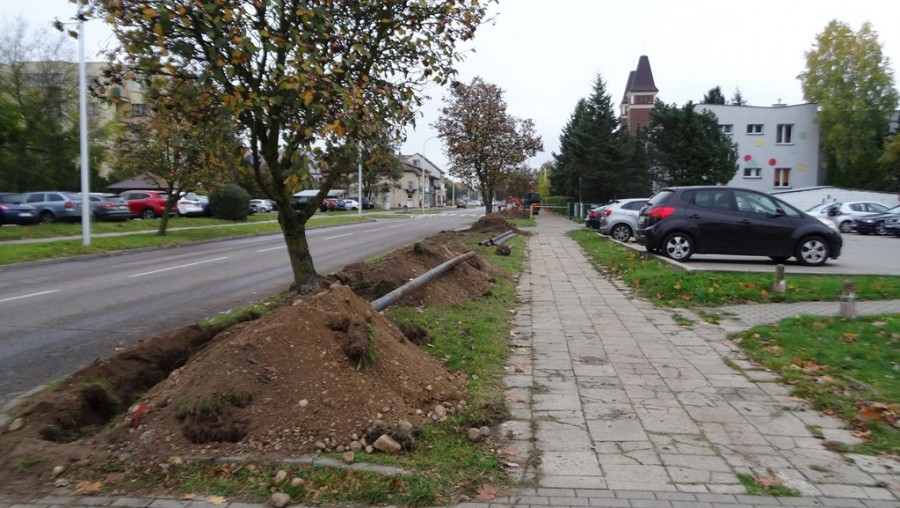sciezka_reja_witosa_10_2026_(9)_(kopiowanie).jpg