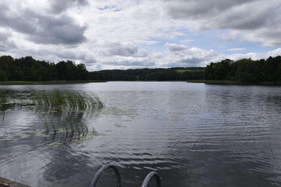 dsc_2633.jpg