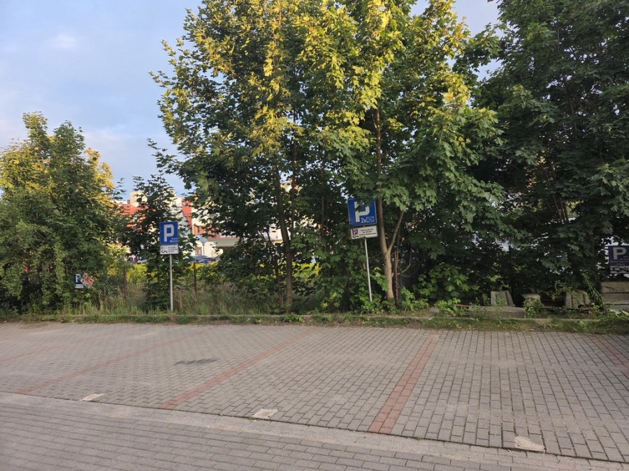 20260824_185402.jpg