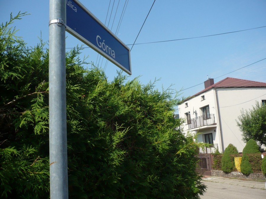 polna_6.jpg