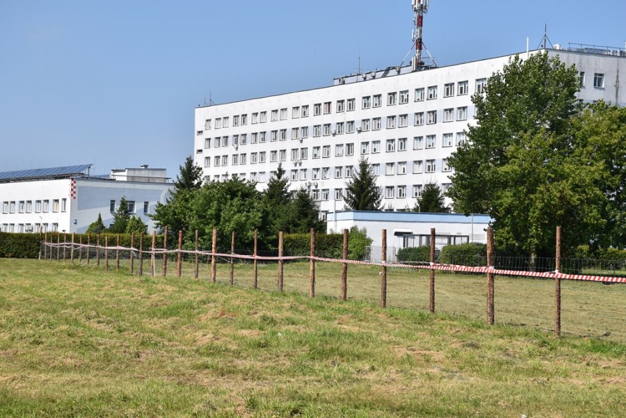 dsc_2621.jpg