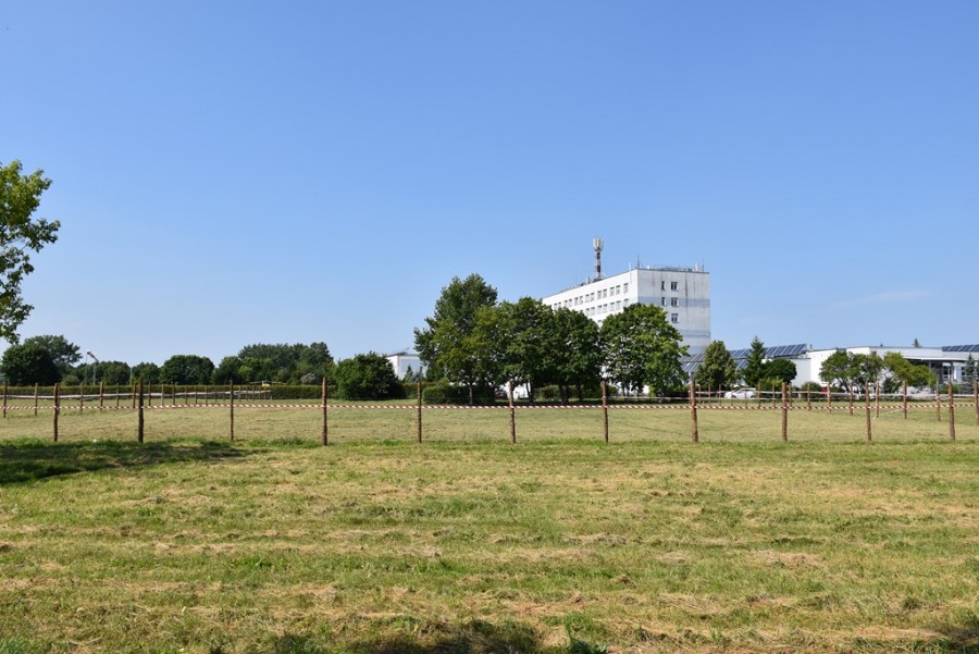 dsc_2623.jpg