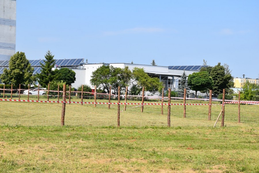 dsc_2624.jpg