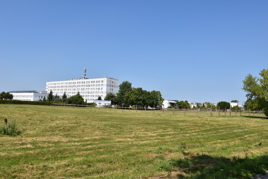 dsc_2626.jpg