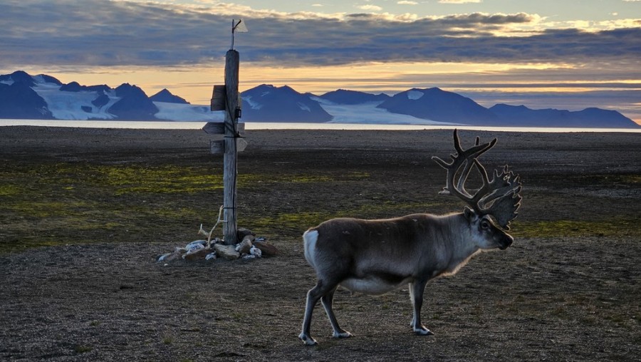 spitsbergen_foto_3.jpg