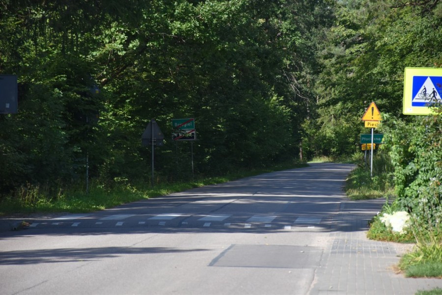 dsc_2699a.jpg
