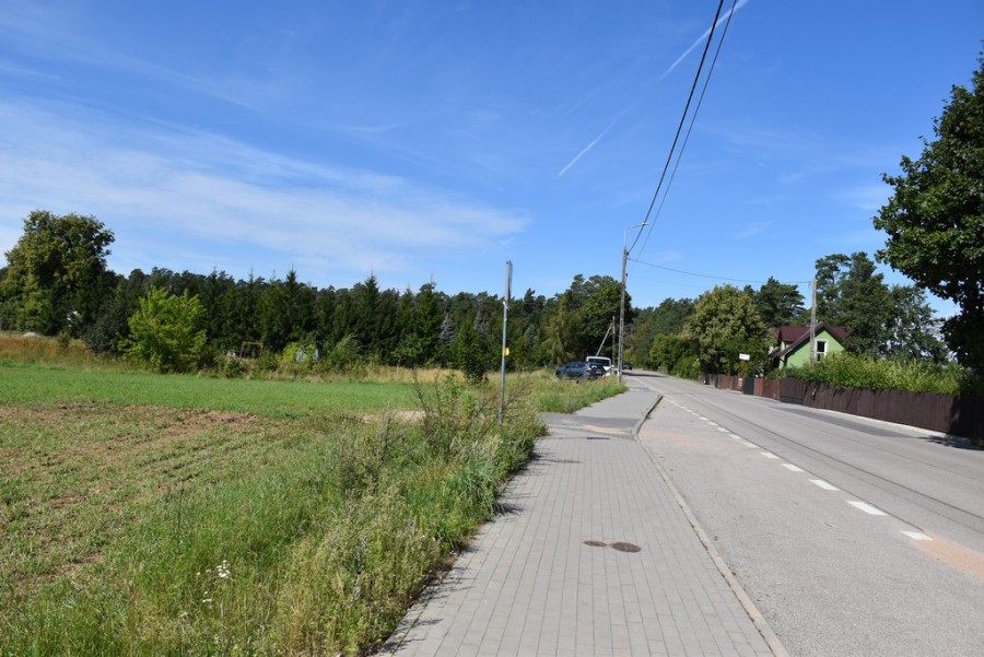 dsc_2703a.jpg
