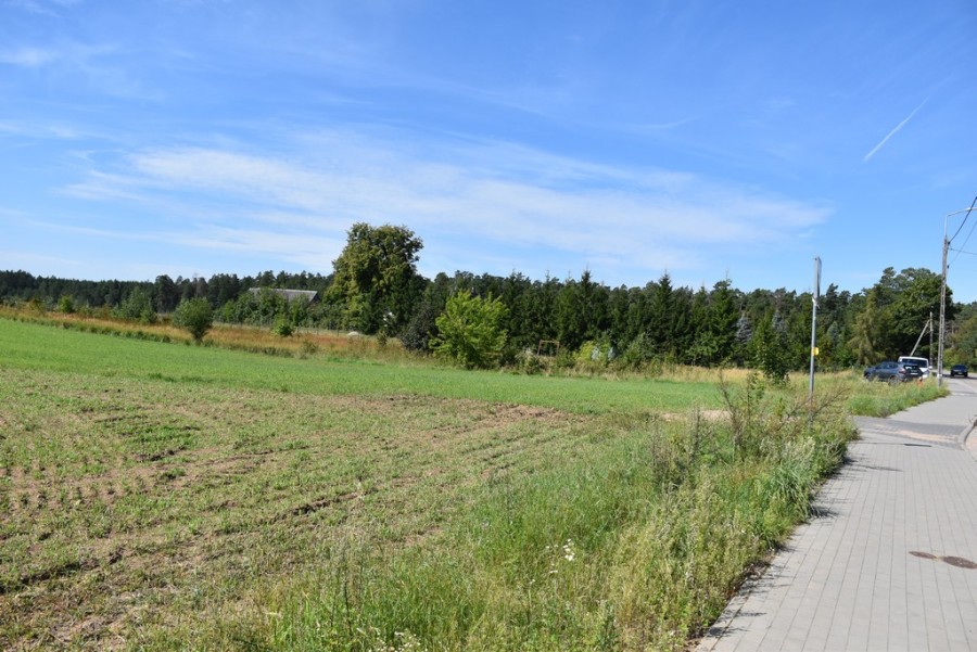dsc_2716a.jpg