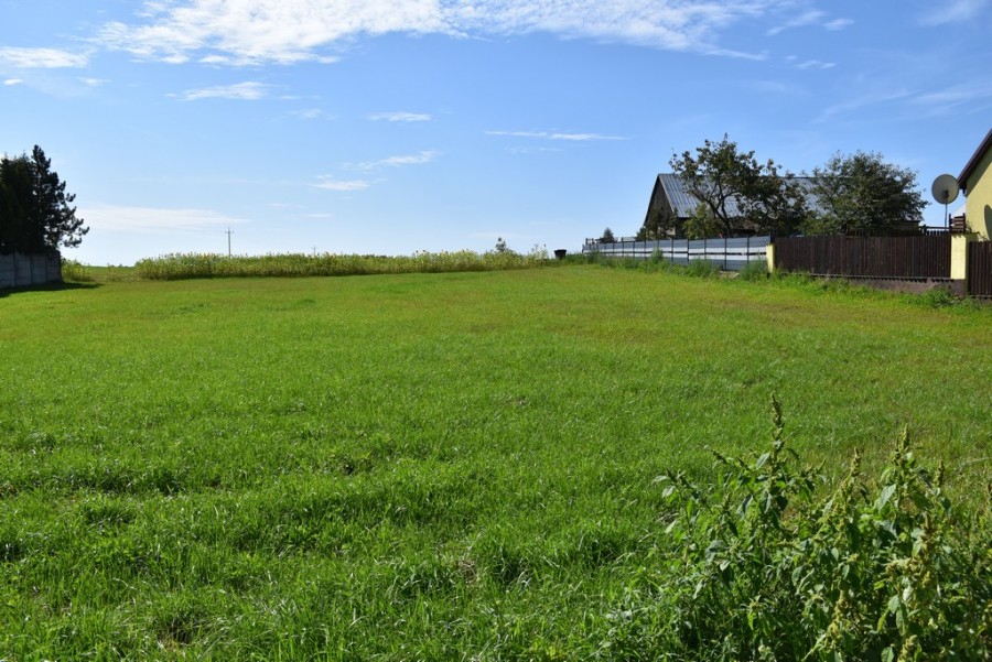 dsc_2725a.jpg