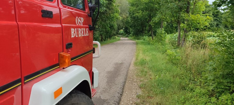 osp_bubele_5.jpg