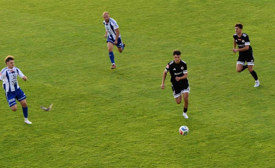 dsc_2585.jpg