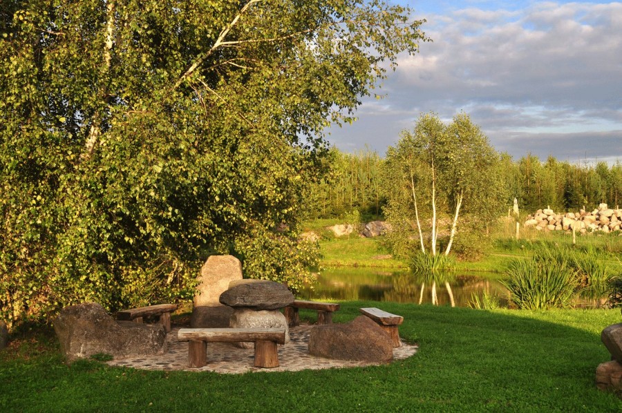 dsc_0388.jpg