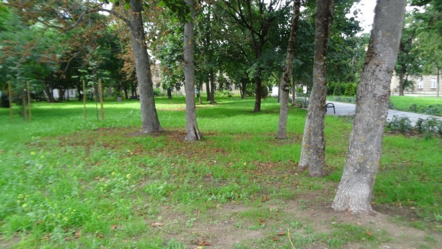 brzostowskiego_park_(8).jpg
