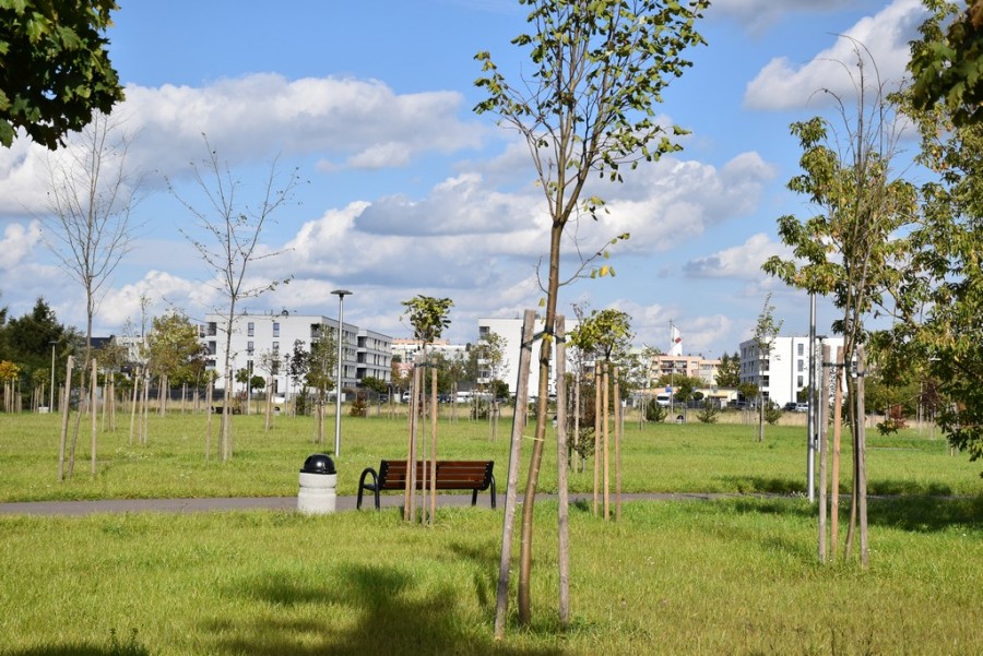 dsc_0956.jpg