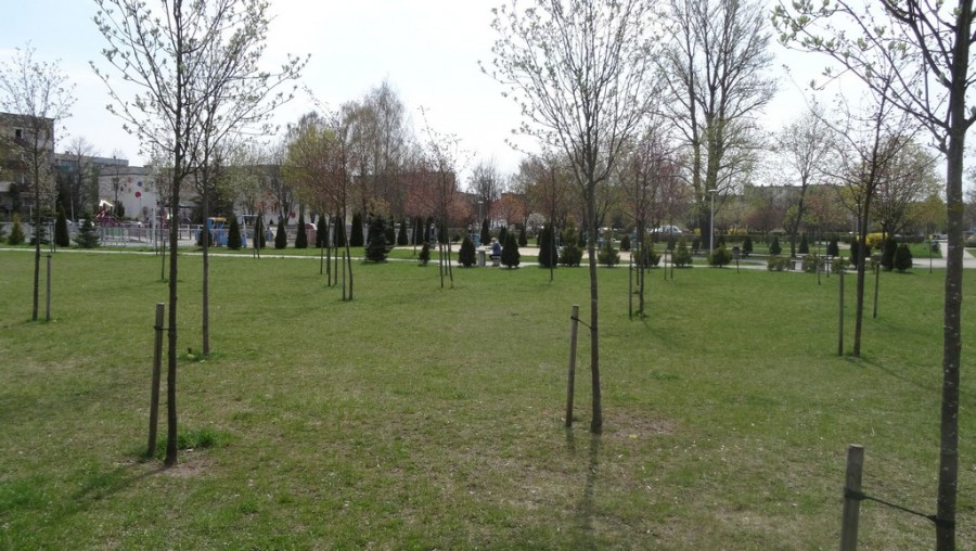 park_andersa_(2).jpg