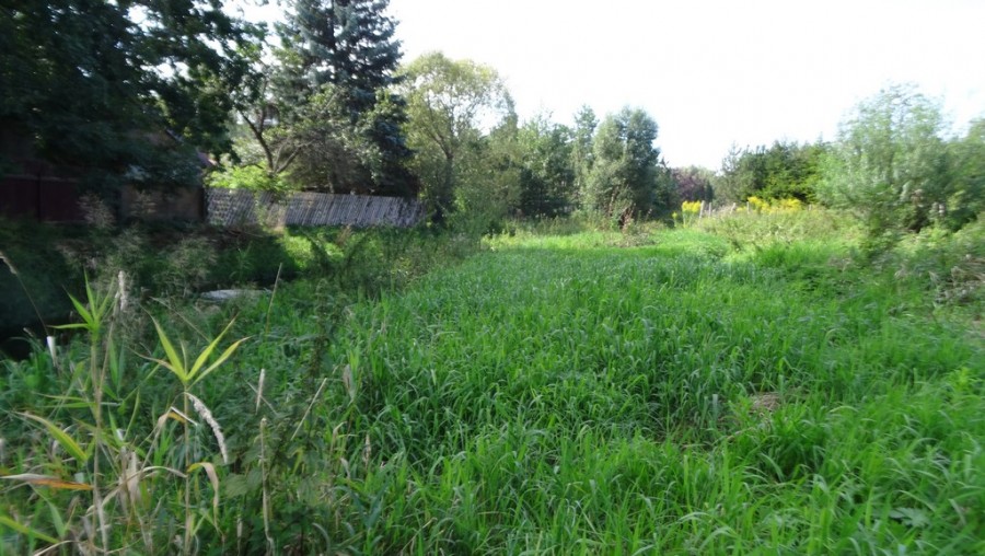 od_1maj_do_utrata_(13).jpg