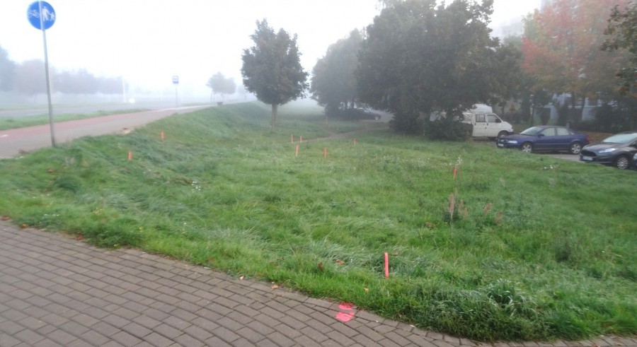 Suwałki. Ruszają prace przy urządzaniu parku miejskiego u zbiegu Reja i Armii Krajowej [zdjęcia]