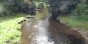 Suwałki. Pięć ofert w przetargu na park z małą plażą nad Czarną Hańczą [zdjęcia]