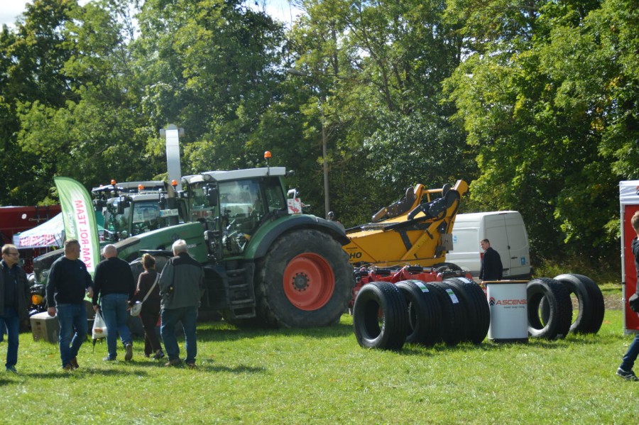 dsc_0542_easy-resize.com_.jpg