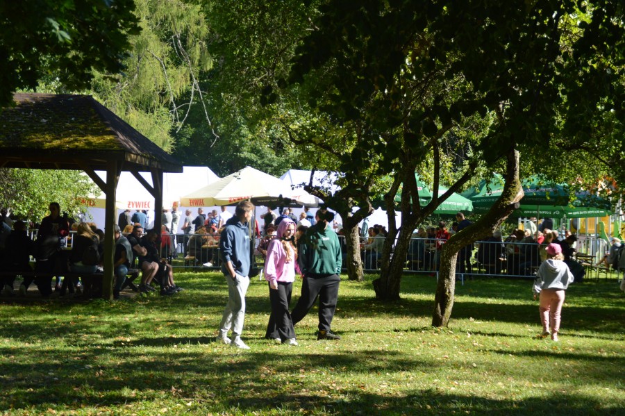 dsc_0568_easy-resize.com_.jpg