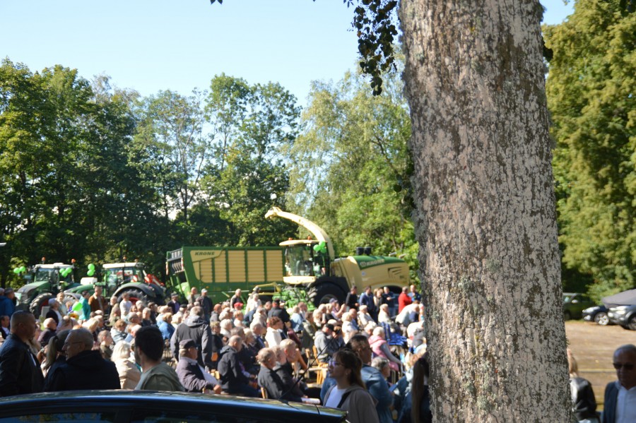 dsc_0577_easy-resize.com_.jpg