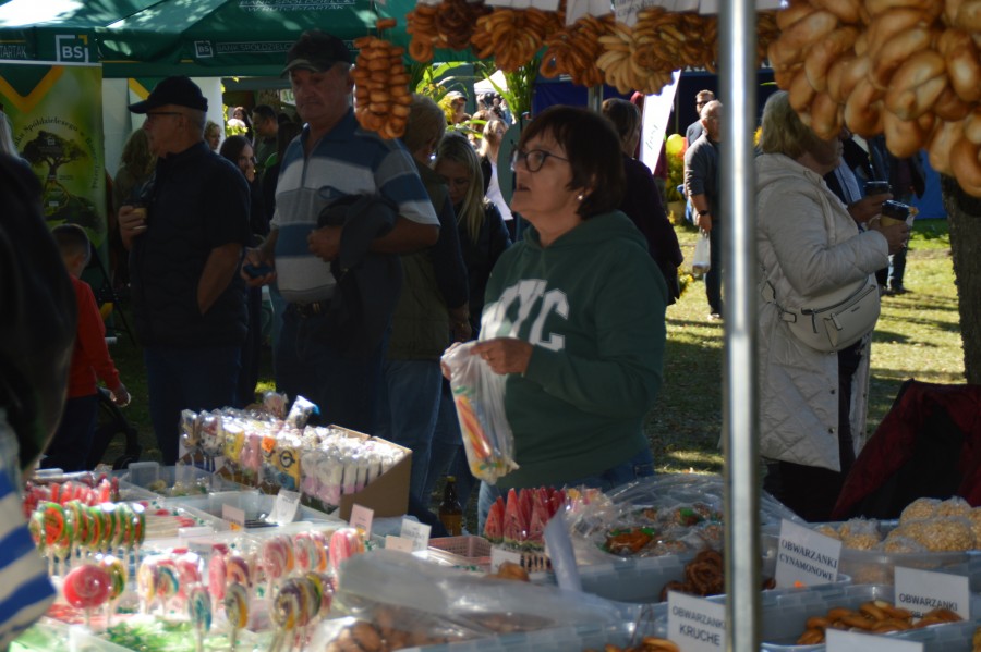 dsc_0578_easy-resize.com_.jpg