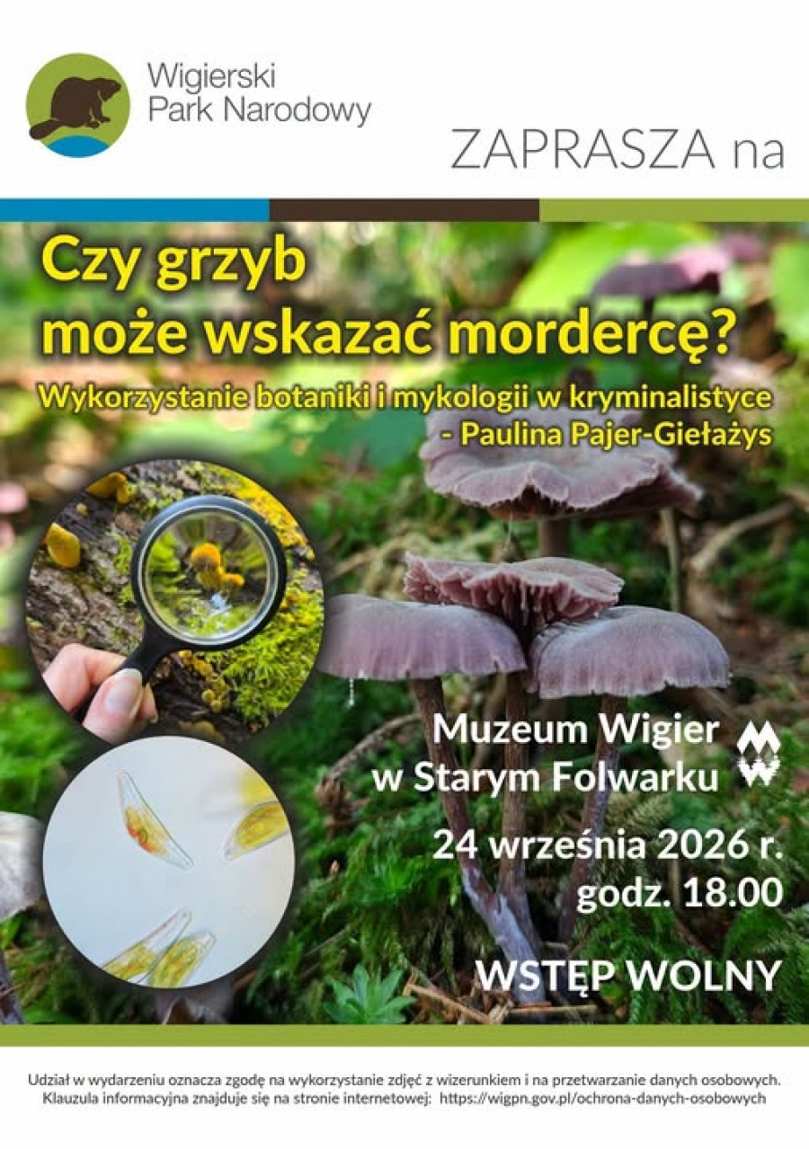 Czy grzyb może wskazać mordercę? Spotkanie z P. Pajer-Giełażys