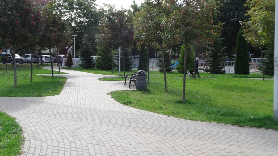 minkiewicza_putry_(3)_easy-resize.com_.jpg