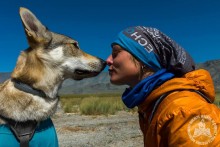 Wataha wróciła z podróży. Agata Bucharowska opowiadała o wędrówce z psem