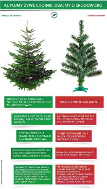 choinki_-_infografika.jpg