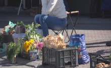 Borowik, kurka czy maślaczek? [sonda]