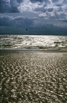 Zdjęcia Piotra Drewniaka w Suwałkach