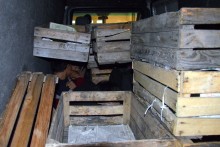 Budzisko. Migranci z Azji za skrzynkami