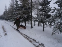 Funkcjonariusze na czterech łapach